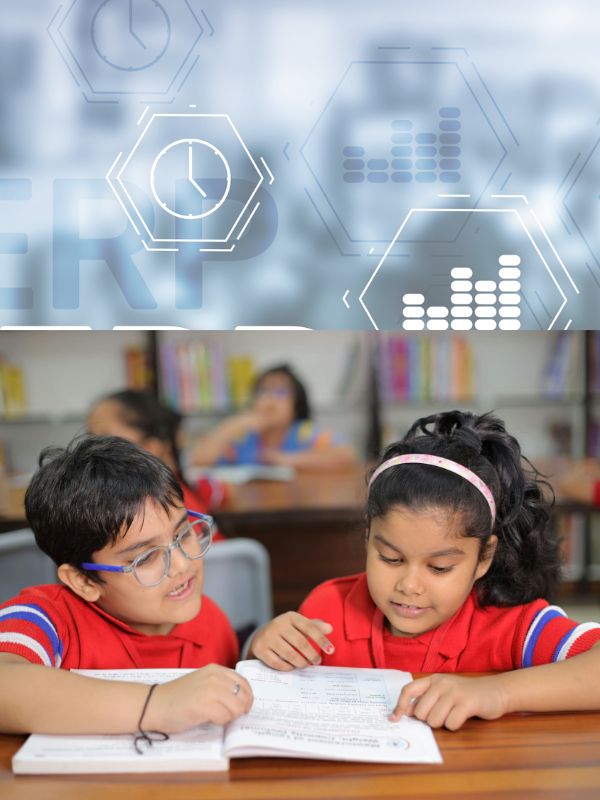 library circulation system